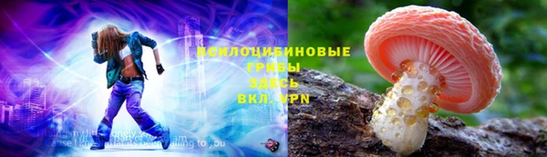 МДПВ Гусь-Хрустальный