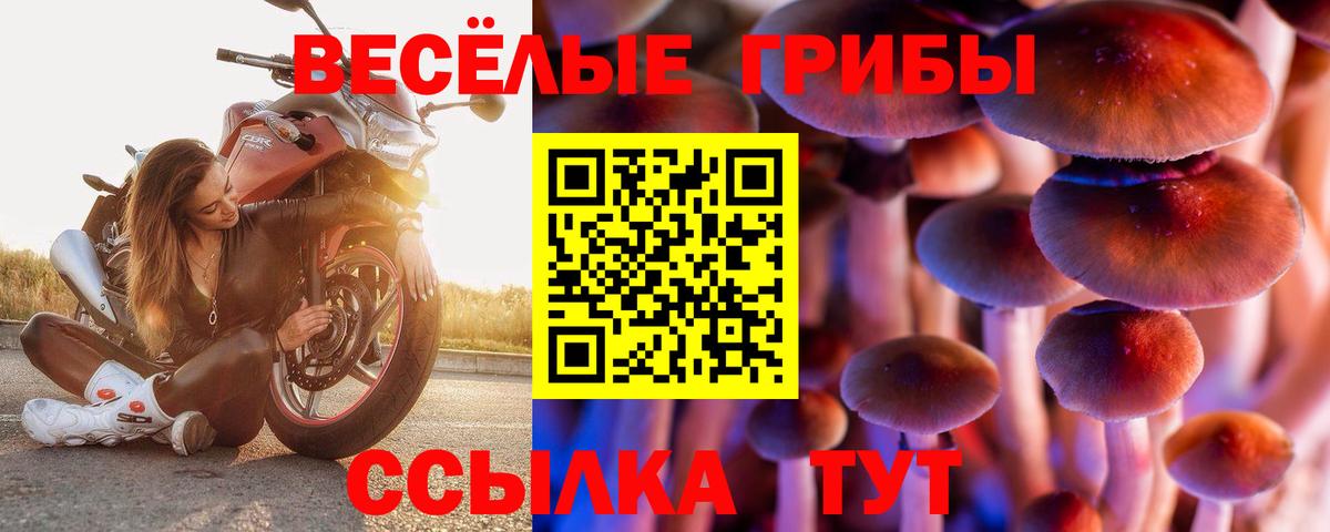 Электросталь  Галлюциногенные грибы Magic Shrooms  Галлюциногенные грибы мухоморы  Вход с VPN 