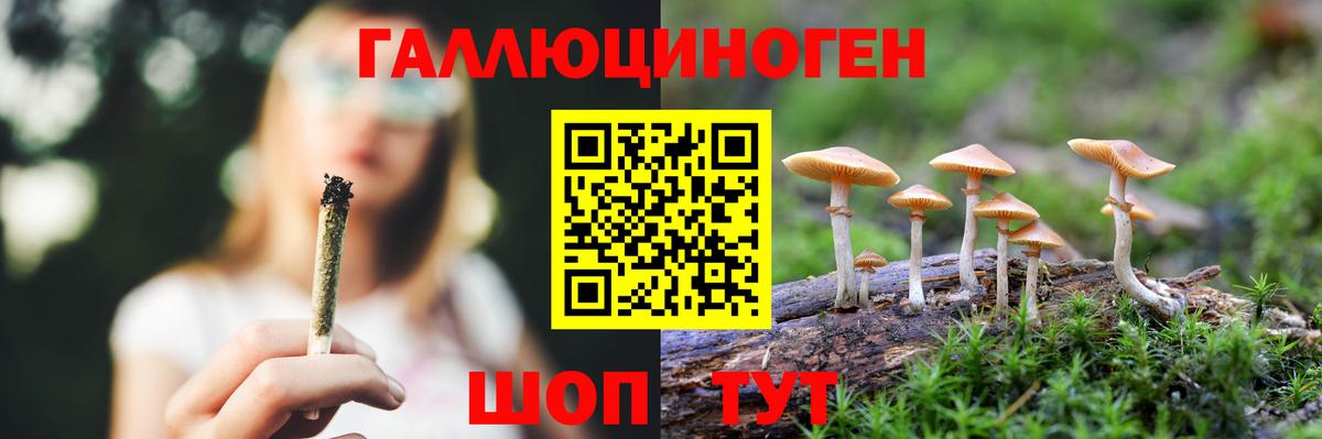 Галлюциногенные грибы MAGIC MUSHROOMS Электросталь